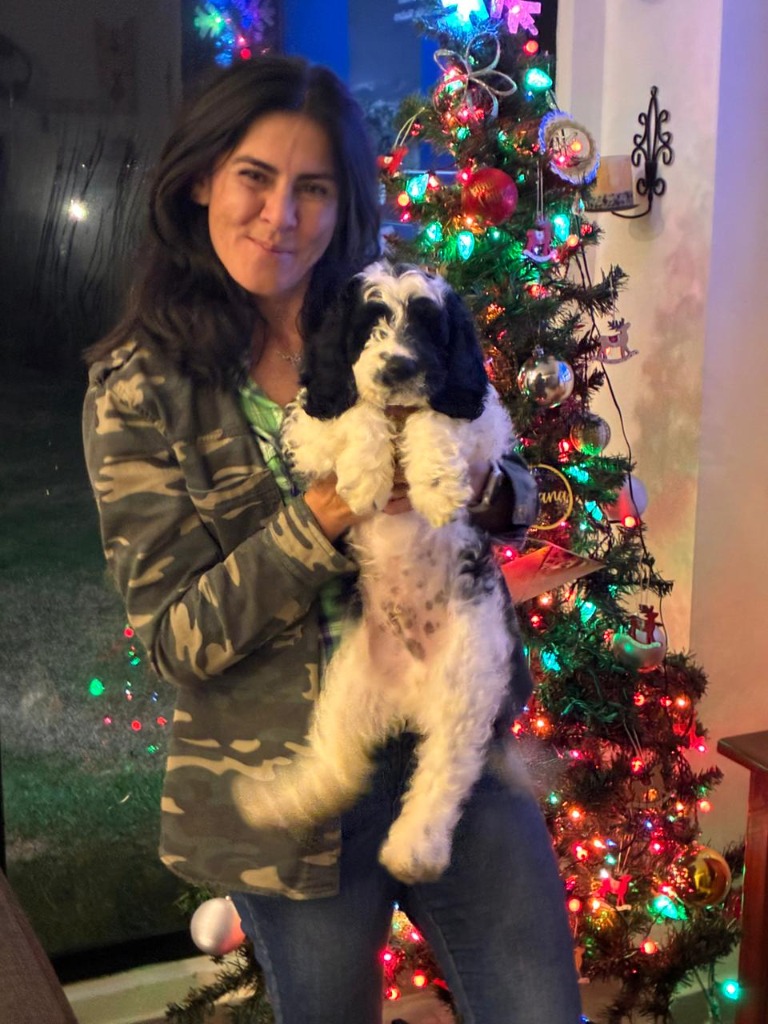 Persona abrazando perrito