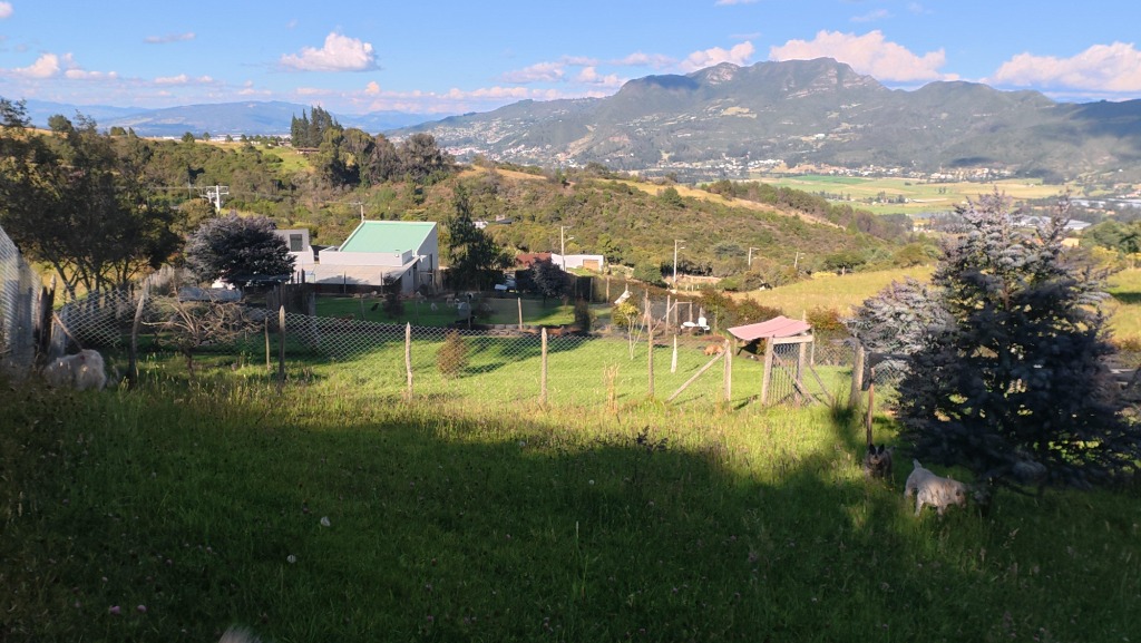 Campos con montañas al fondo